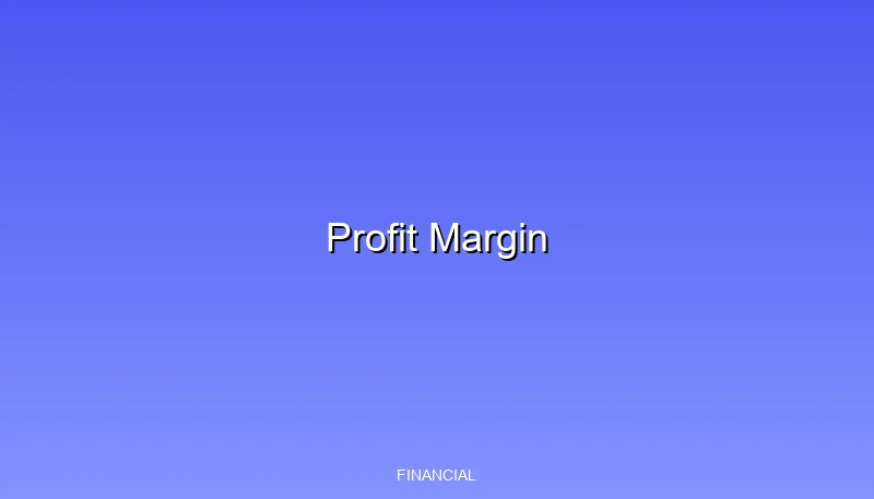 profit-margin overview